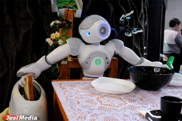 Накануне нового года в Екатеринбурге будут сражаться роботы - Фото 1