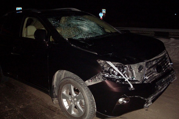 Под Екатеринбургом женщина-водитель сбила мужчину и двух детей - Фото 1