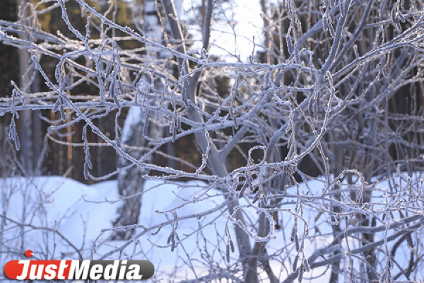 Снежные заносы заблокировали на турбазе в Карпинске группу туристов - Фото 1