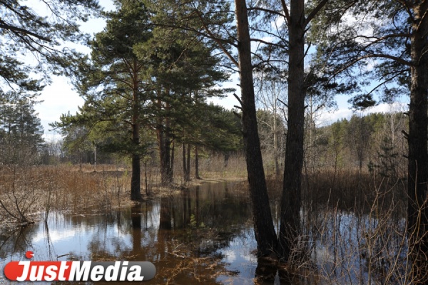 Интенсивность паводка в Свердловской области пока незначительная - Фото 1
