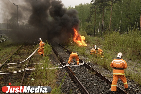 В Свердловской области зафиксирован первый в сезоне лесной пожар - Фото 1