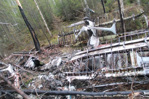 Поисковая группа обнаружила в болоте обломки самолета и человеческие останки - Фото 1