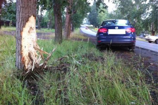 В Кировграде водитель иномарки врезался в дерево - Фото 1