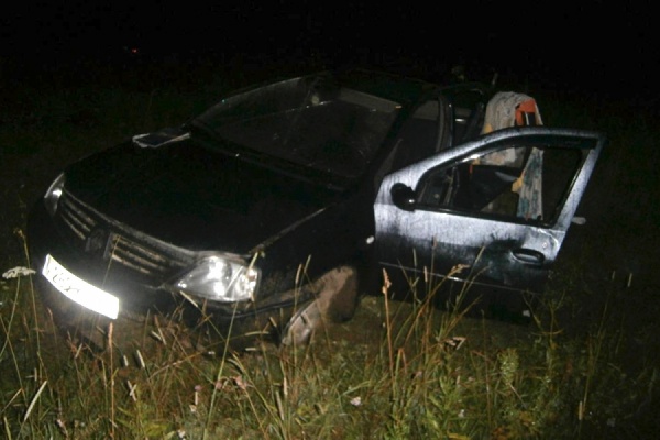 В ДТП на автодороге Первоуральск—Шаля пострадали пять человек, в том числе три несовершеннолетних девушки - Фото 1