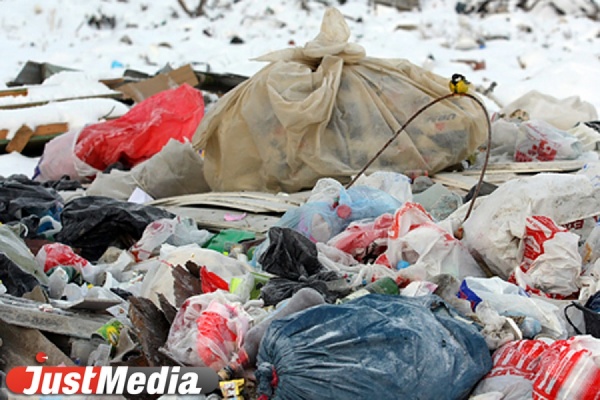Схемы очистки территорий от мусора разработаны лишь для 71 процента населенных пунктов Свердловской области - Фото 1