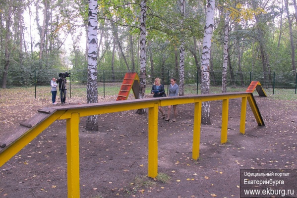 Мэрия планирует построить площадки для выгула собак во всех парках Екатеринбурга - Фото 1