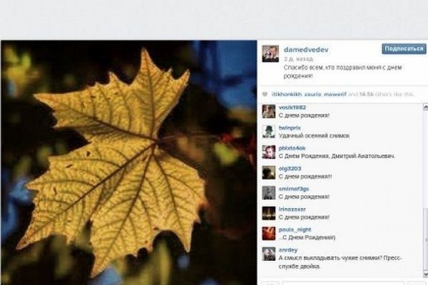 Медведев позаимствовал фотообои для своего Instagram - Фото 1