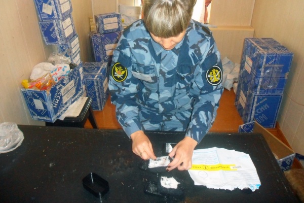 В исправительной колонии в Тавдинском районе в посылке обнаружили наркотики - Фото 1