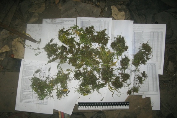 В Артемовском наркоман хранил дома более 250 граммов запрещенных веществ - Фото 1