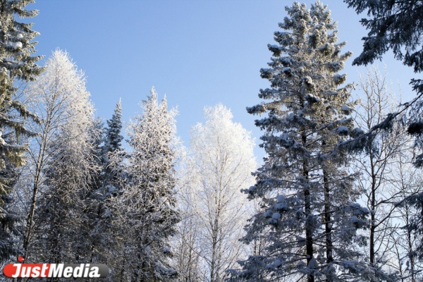 В Свердловской области может появиться снегоходная трасса  - Фото 1