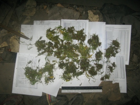 Наркополицейские изъяли у жителя Артемовского более килограмма марихуаны - Фото 1