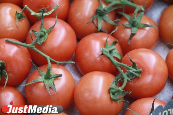 ЗАО «Тепличное» открывает новый комплекс по выращиванию помидоров - Фото 1