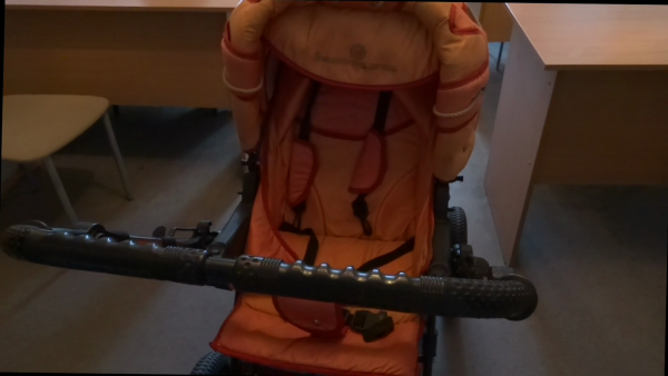 Жительница Серова попалась на краже детских колясок - Фото 1