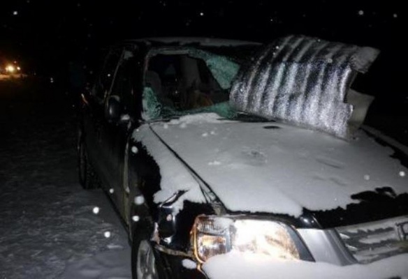 На автодороге Верхняя Синичиха—Махнево водитель «Хонды» насмерть сбил пешехода - Фото 1