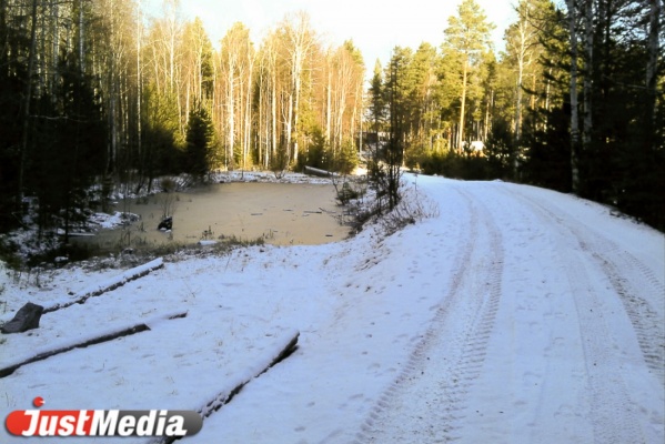 Свердловской области не хватает лесных инспекторов - Фото 1