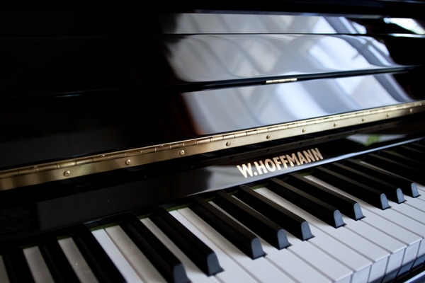 Екатеринбургский оперный театр закупил шесть новых фортепьяно общей стоимостью 2,4 млн рублей  - Фото 1