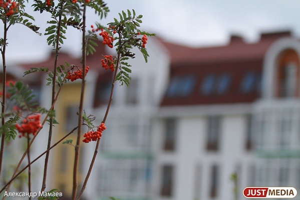 В Екатеринбурге высадят дубы, барбарис и боярышник - Фото 1