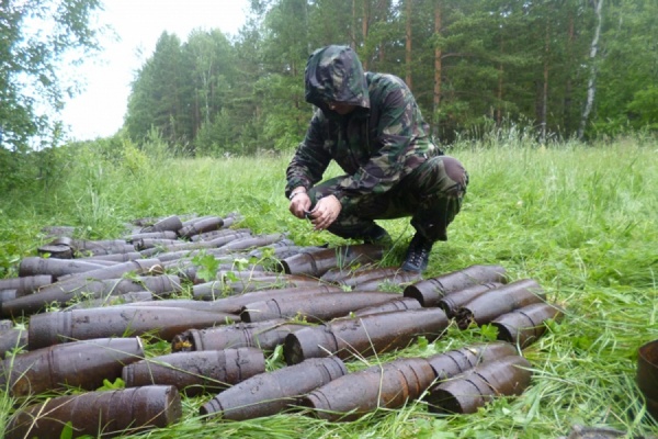 В Полевском грибники нашли в лесу 90 снарядов - Фото 1