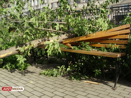 На Екатеринбург идут грозы и ураганы. Спасатели призывают не выходить из дома и не пользоваться зонтами - Фото 1