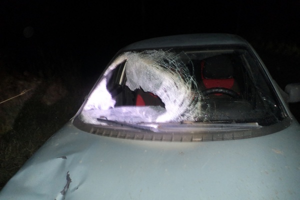 Подробности жуткого ДТП в Тугулыме: водитель утверждает, что не заметил, как сбил двух девушек, хотя от удара у машины вылетело лобовое стекло - Фото 1