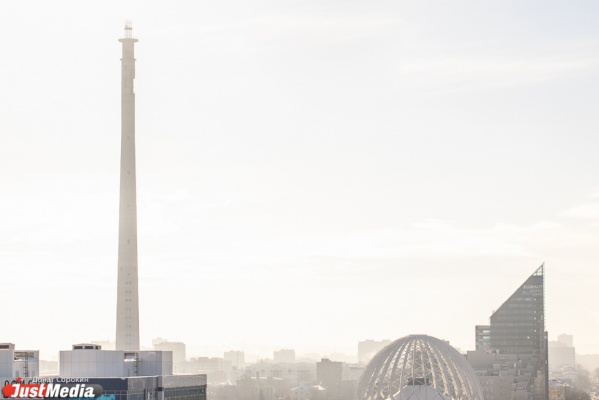 В Екатеринбурге может появиться льготная зона для размещения крупных иностранных корпораций - Фото 1