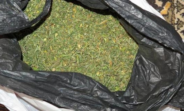 В Каменске-Уральском в квартире отца троих детей нашли килограмм марихуаны и револьвер - Фото 1