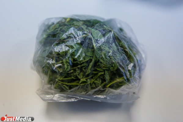 Наркополицейские обнаружили в сумке у камышловца более двух килограммов марихуаны - Фото 1