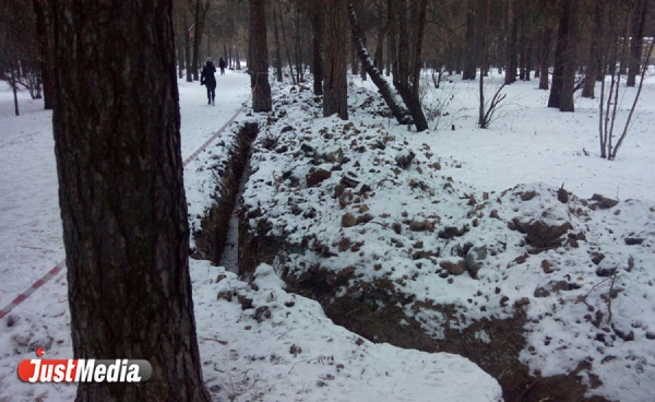 Екатеринбуржцы боятся, что новое освещение в «Зеленой роще» погубит часть деревьев парка - Фото 1