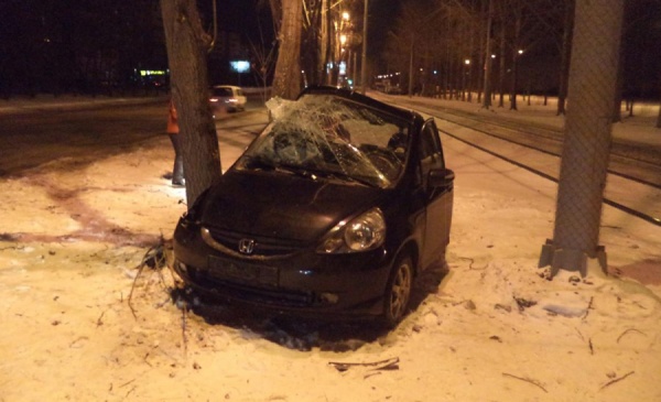 В Екатеринбурге водитель-новичок иномарки врезался в дерево. Пострадали два человека - Фото 1