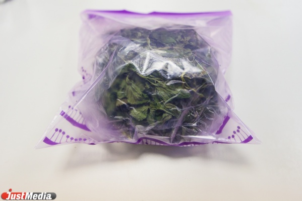 В доме безработного жителя Каменска-Уральского под камином нашли более 6,5 килограмма марихуаны - Фото 1