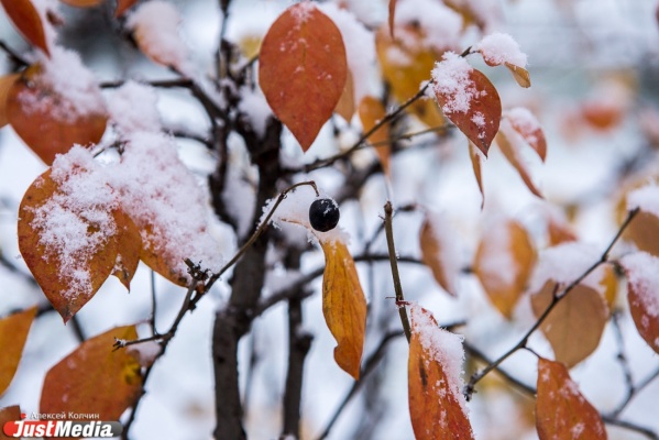 В Екатеринбурге ожидается теплая и снежная неделя - Фото 1