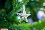 В Свердловской области завтра стартует сезон заготовки новогодних елок