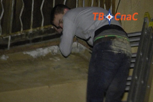 В Екатеринбурге спасатели сняли с балкона замерзшего Ромео - Фото 1