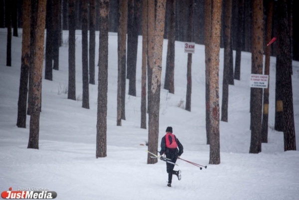 В Екатеринбурге на Фурманова появится  спорткомлекс с двухкилометровой лыжной трассой - Фото 1