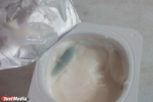 Жительница Екатеринбурга купила в «Пятерочке» йогурт с плесенью. Деньги ей возвращать отказались - Фото 1