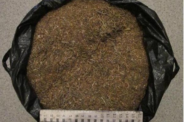 Сотрудники наркоконтроля нашли в гараже у пышминского безработного больше 4 килограммов марихуаны - Фото 1
