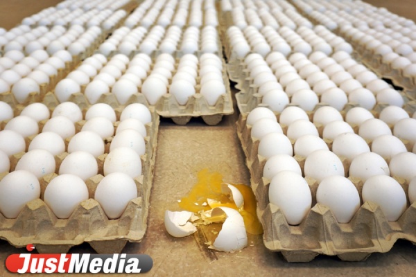 Казус с продажей яйца случился из-за ошибки автомата - Фото 1
