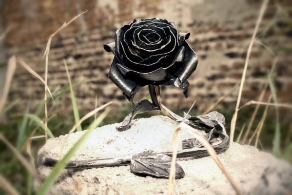 Легендарную розу уральского кузнеца, выкованную для певицы Селены Гомес, теперь можно купить за три тысячи рублей - Фото 1