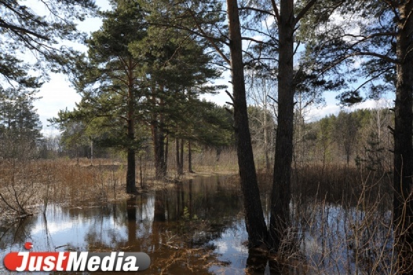 Весенний паводок в Свердловской области начнется на несколько дней раньше - Фото 1