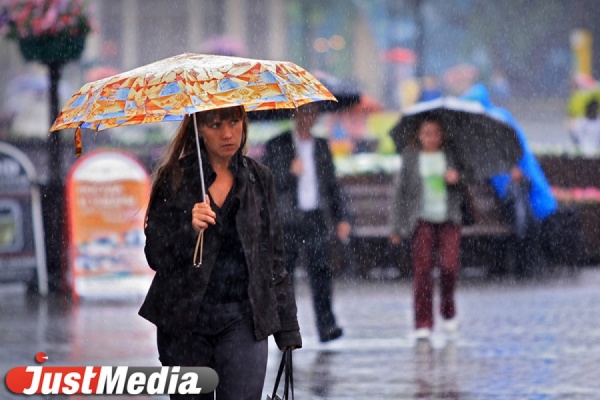 Почти всю неделю в Екатеринбурге будут лить дожди. Днем — до плюс 13 - Фото 1