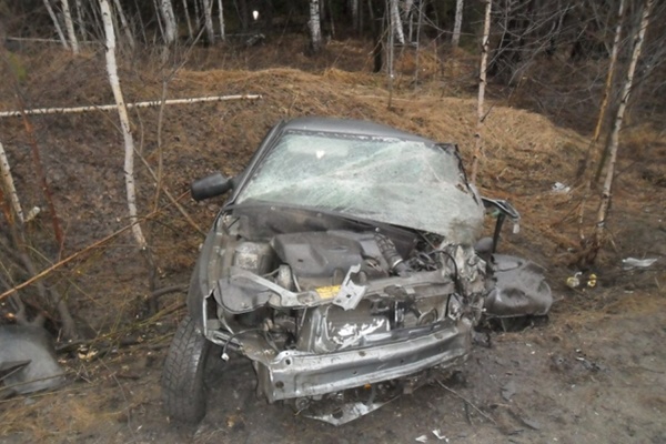 На Серовском тракте водитель «десятки» врезался в дерево. Мужчина скончался в скорой - Фото 1