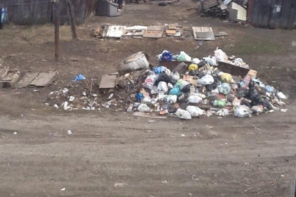 Жители Ирбита жалуются на коммунальщиков, которые даже в канун Первомая не удосужились очистить дворы от мусора - Фото 1