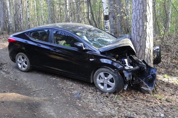 В Екатеринбурге девяностолетний водитель иномарки врезался в дерево и погиб  - Фото 1