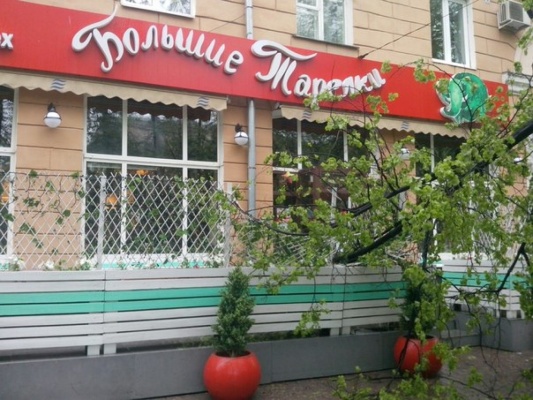 В центре Екатеринбурга дерево рухнуло на летнюю веранду кафе - Фото 1