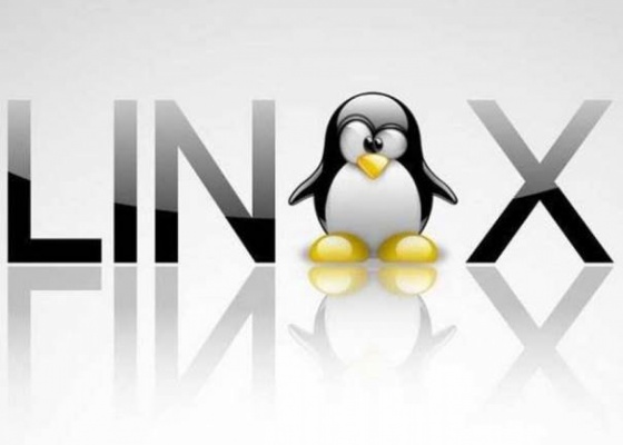 Windows и Unix хостинг – основные различия  - Фото 1