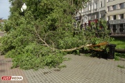 В Екатеринбурге ожидаются грозы с градом и порывистым ветром