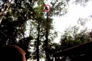 На ЖБИ спасатели сняли с дерева парня, который пытался спасти дочь президента