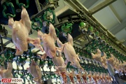 Работники Россельхознадзора запретили в июне к ввозу 126 килограммов животноводческой продукции