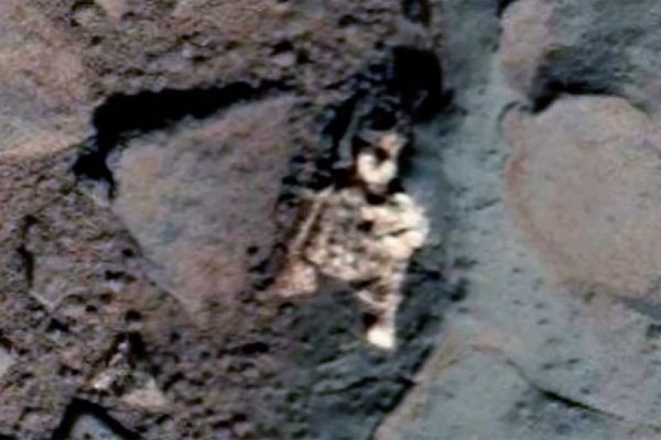 В интернете опубликованы снимки погибшего на Марсе существа - Фото 1