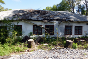 В Первоуральске упавшие тополя разрушили здание музыкальной школы